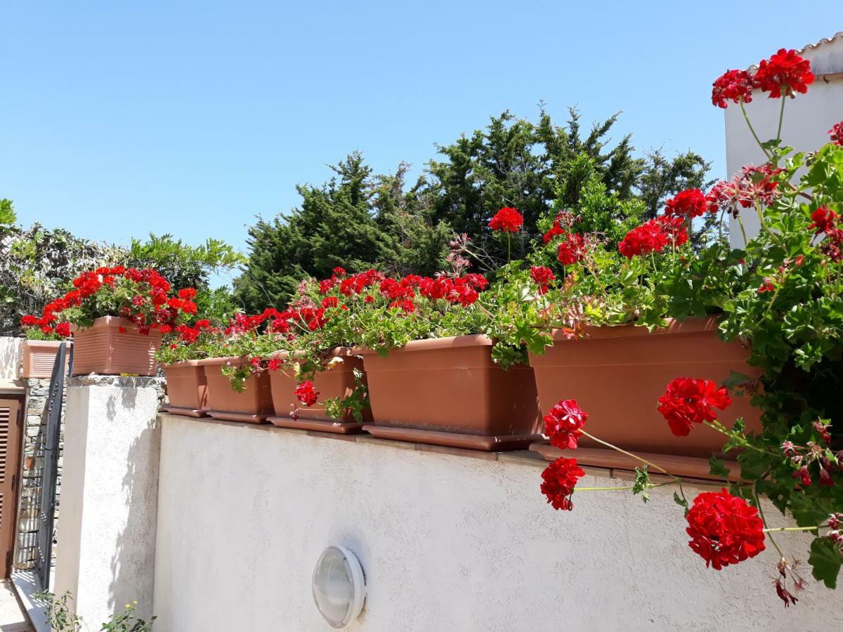 Villino Messina Apartment San Vito Lo Capo Exterior foto